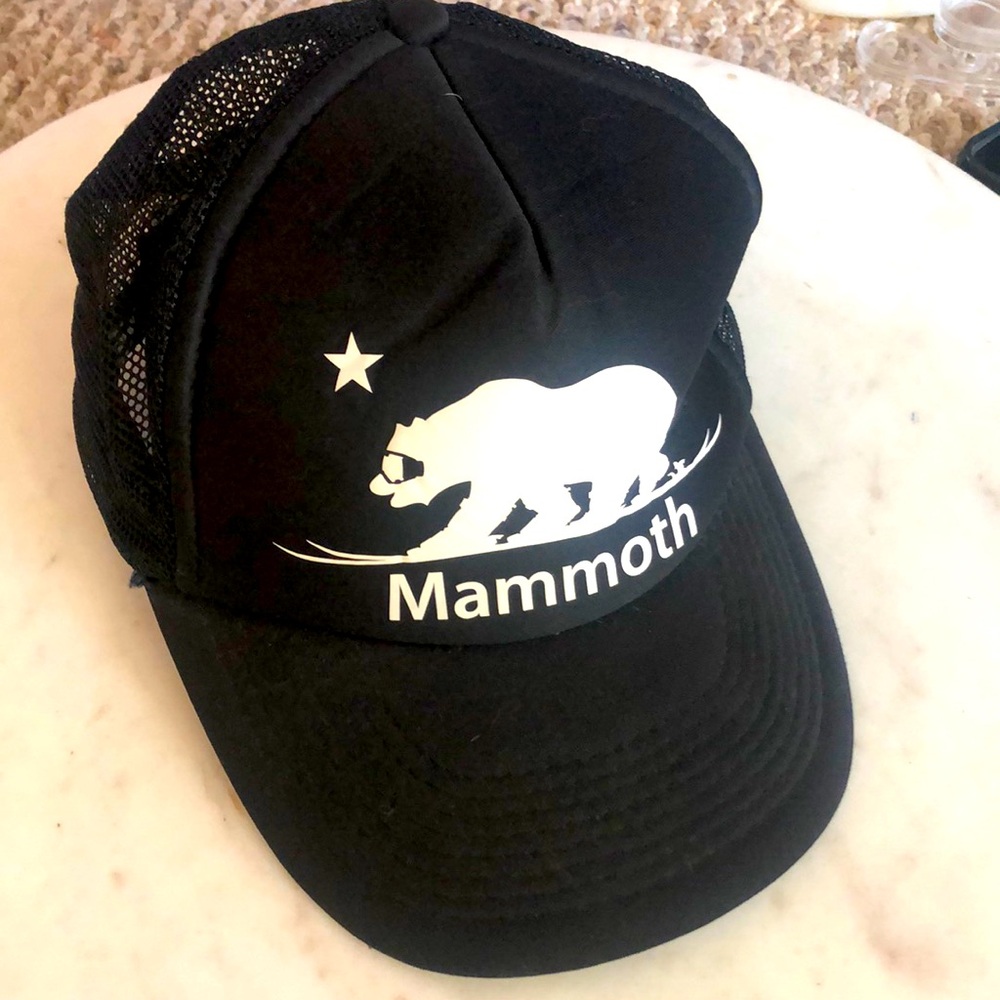 😎 Mammoth Ski Truckers hat
